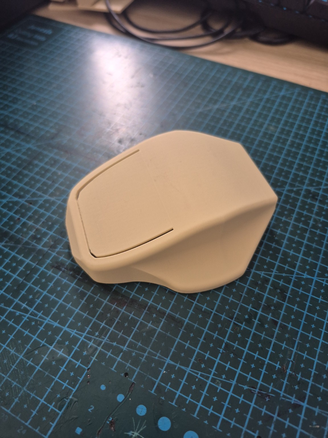 Magic Mouse custom mouse prototype